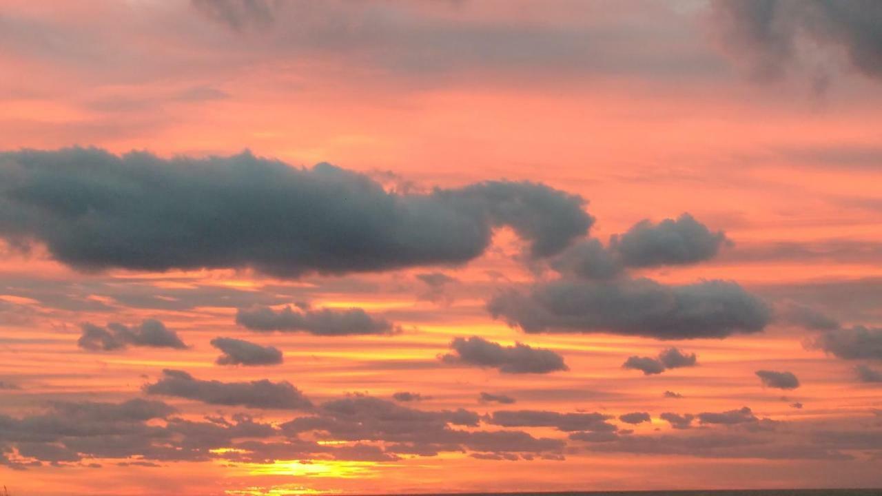 Malibu Beach Koksijde Eksteriør billede